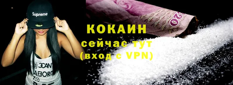 купить наркоту  Губаха  Cocaine VHQ 